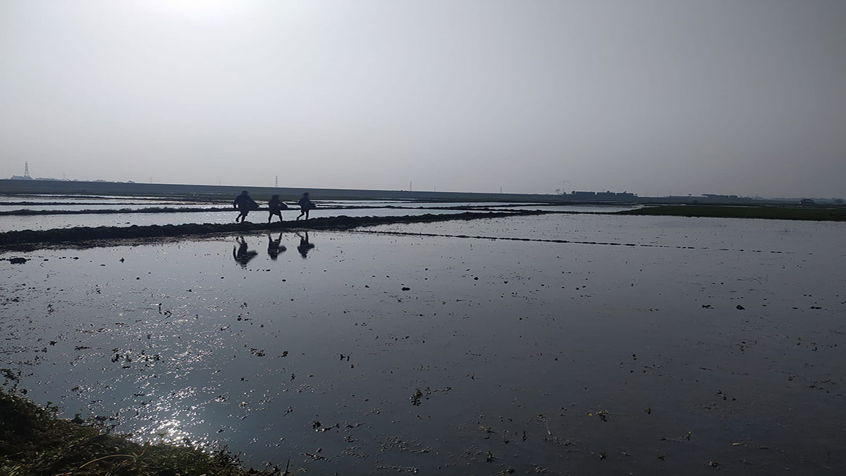 লক্ষ্য ছুঁয়েছে কৃষিঋণ বিতরণ