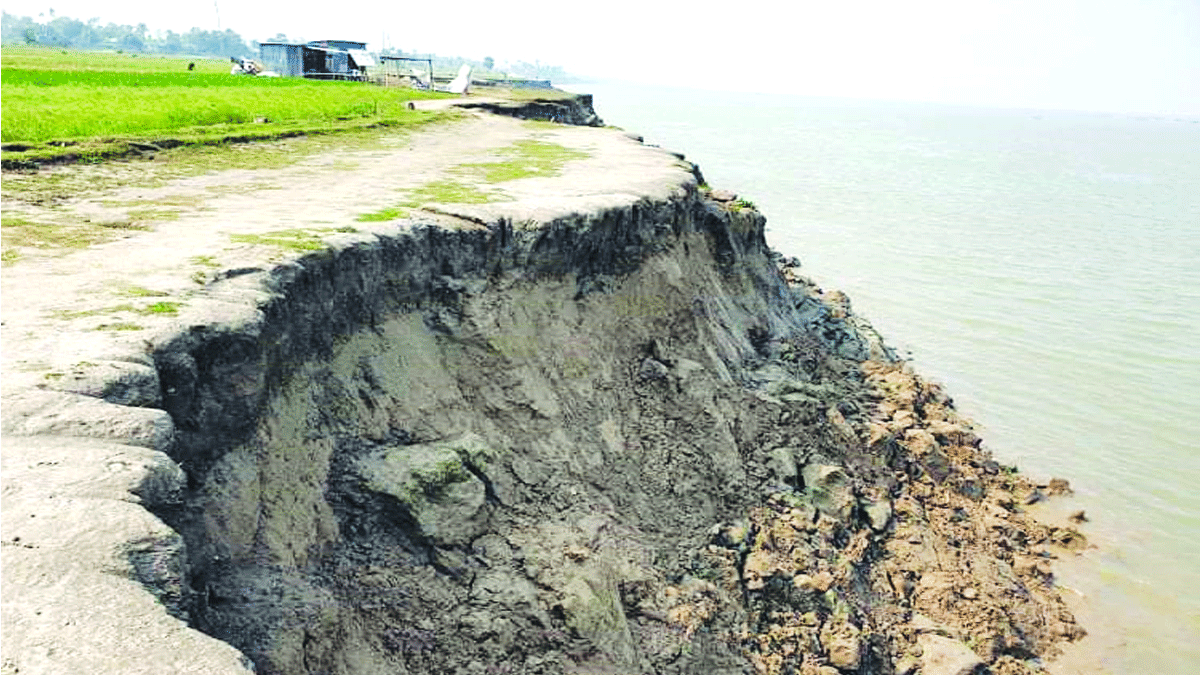 অসময়ে পদ্মায় ভাঙন, বিলীন কৃষিজমি