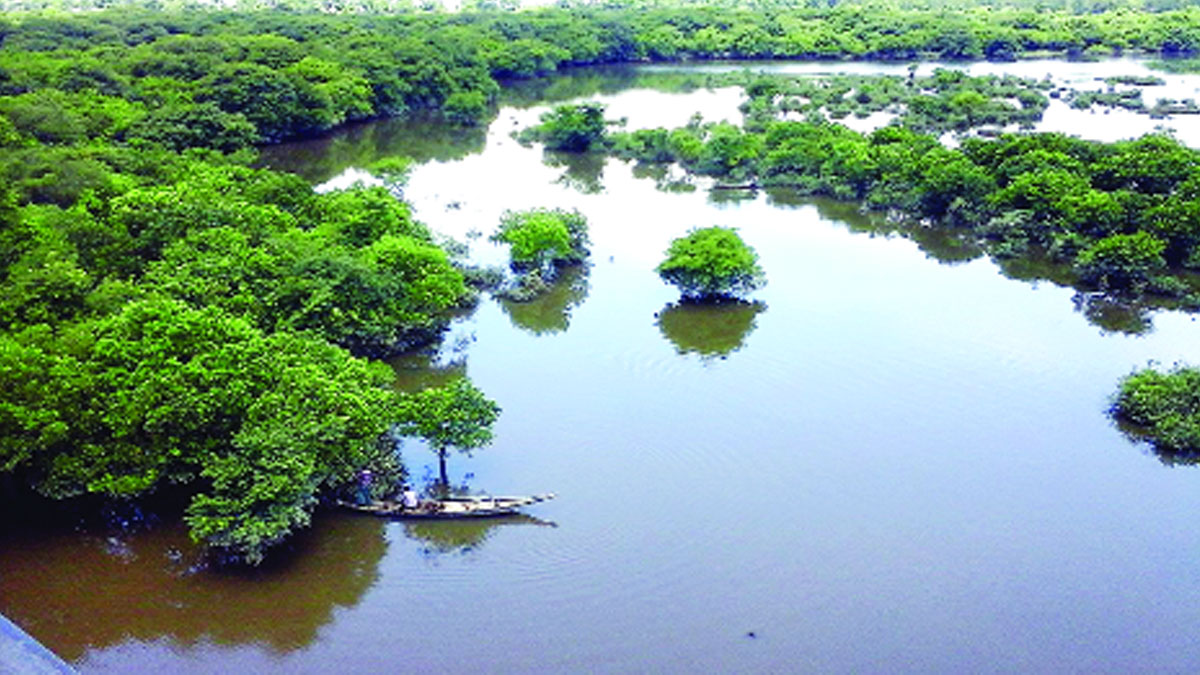 জলবায়ু পরিবর্তন ও জলাভূমির সংরক্ষণ