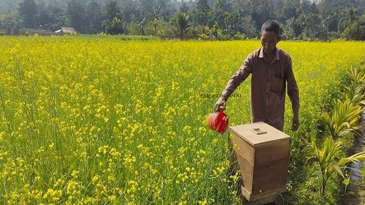 পাহাড়ে মৌচাষে পথ দেখাচ্ছেন সরবিন্দু 