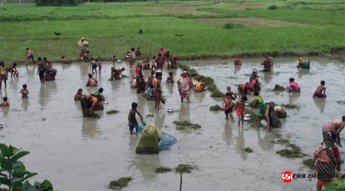 হারিয়ে যাচ্ছে গ্রাম বাংলায় মাছ ধরার ঐতিহ্য 