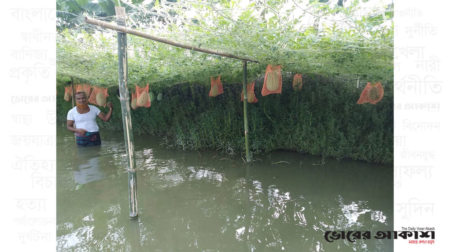 মৎস্য ঘেরের চারপাশে সবজি চাষে সফল রেজাউল করিম