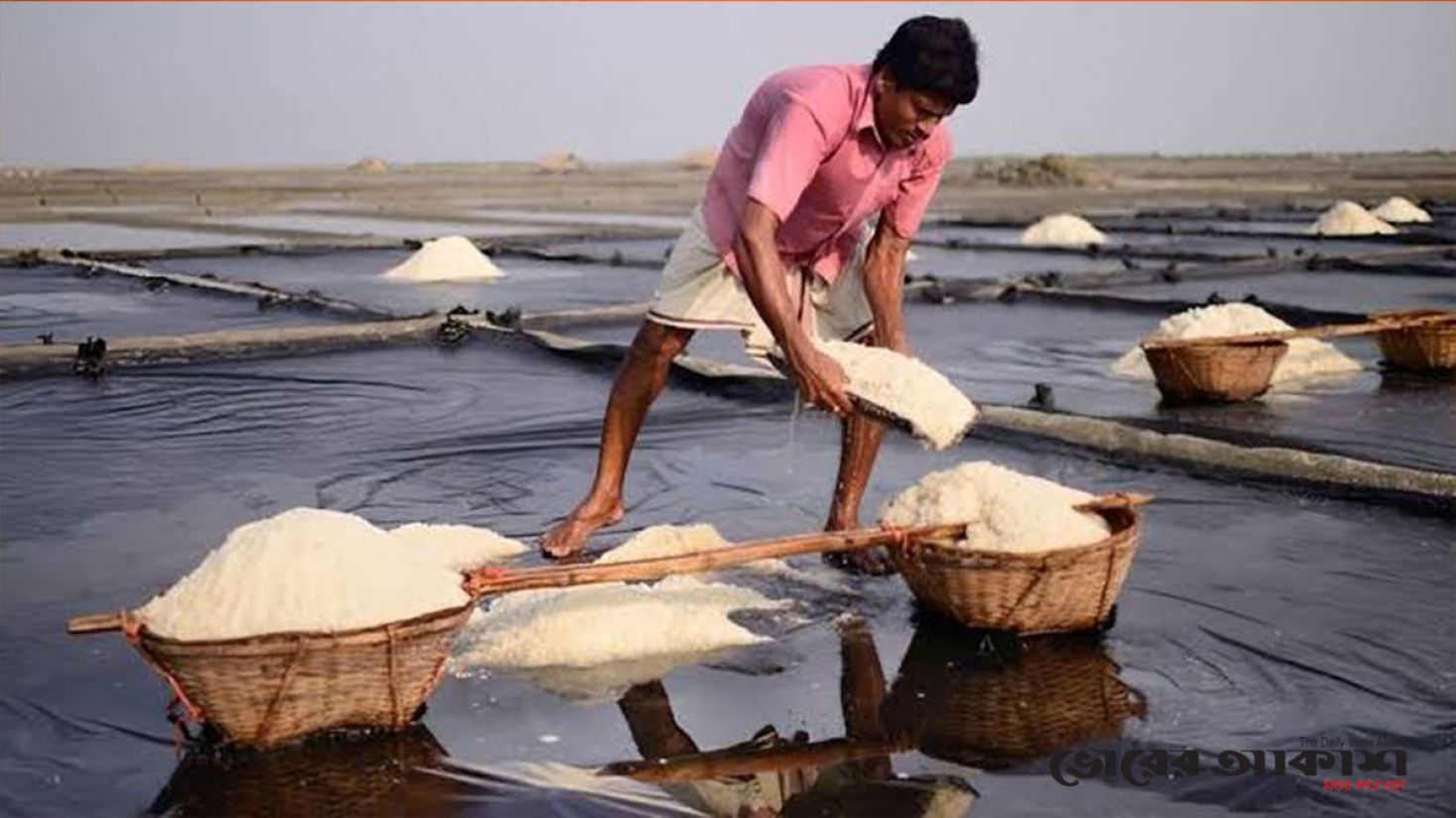 কক্সবাজারে ২৩ লাখ টন লবণ উৎপাদনের লক্ষ্য নিয়ে মাঠে চাষিরা