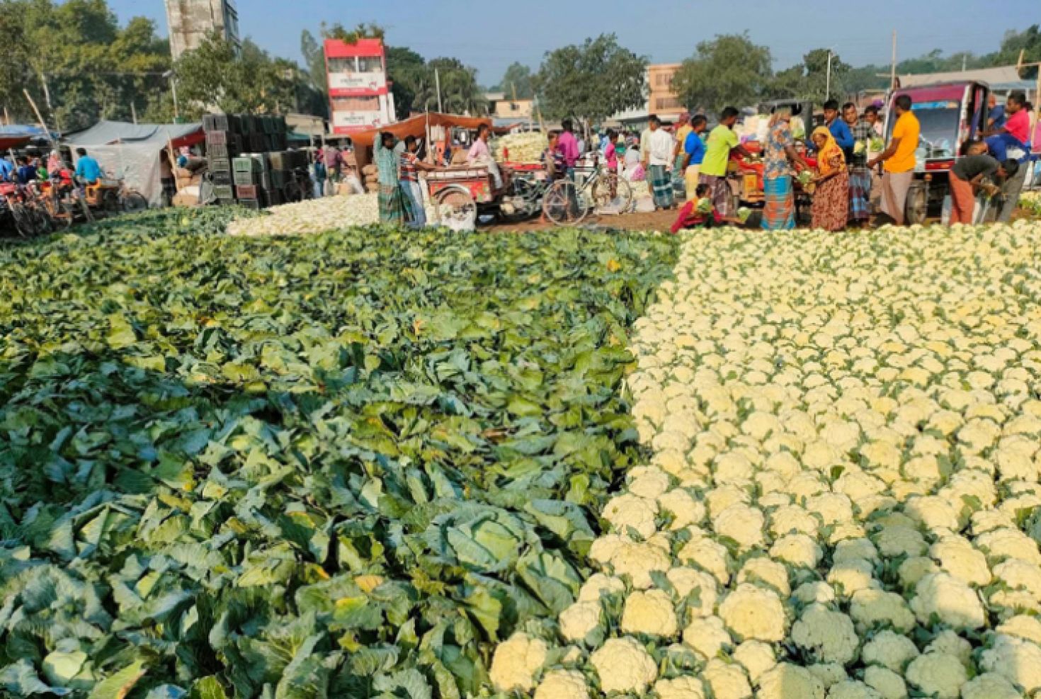 ২ হাজার ৯ শ কোটি টাকার সম্ভাবনা
