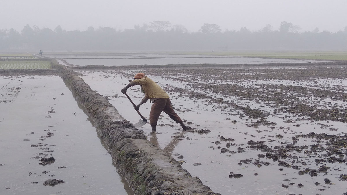 বিভিন্ন স্থানে বৃষ্টির আভাস, মাসের শেষে বাড়বে শীত