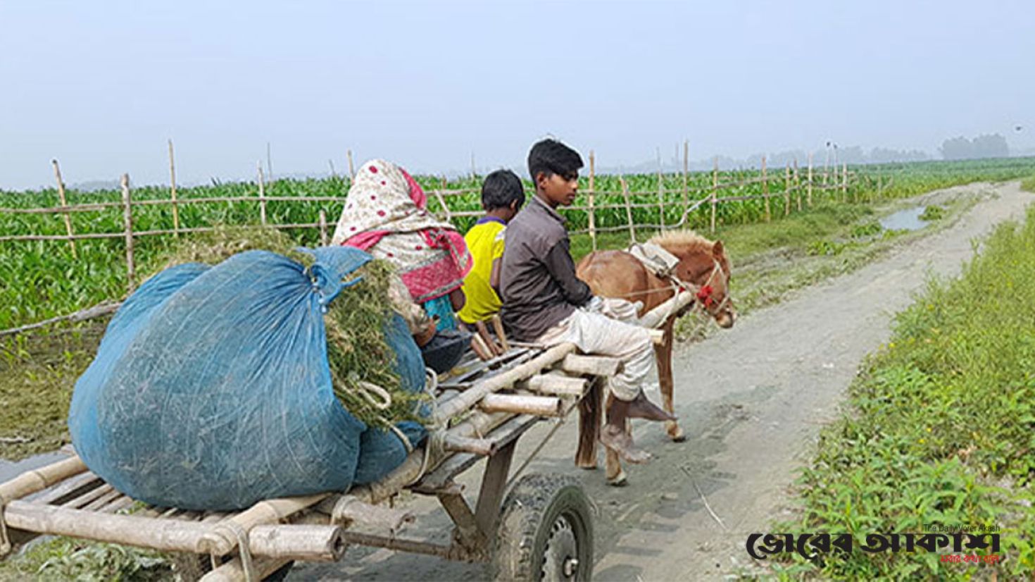 বালুময় দুর্গম পথের সঙ্গী ঘোড়ার গাড়ি