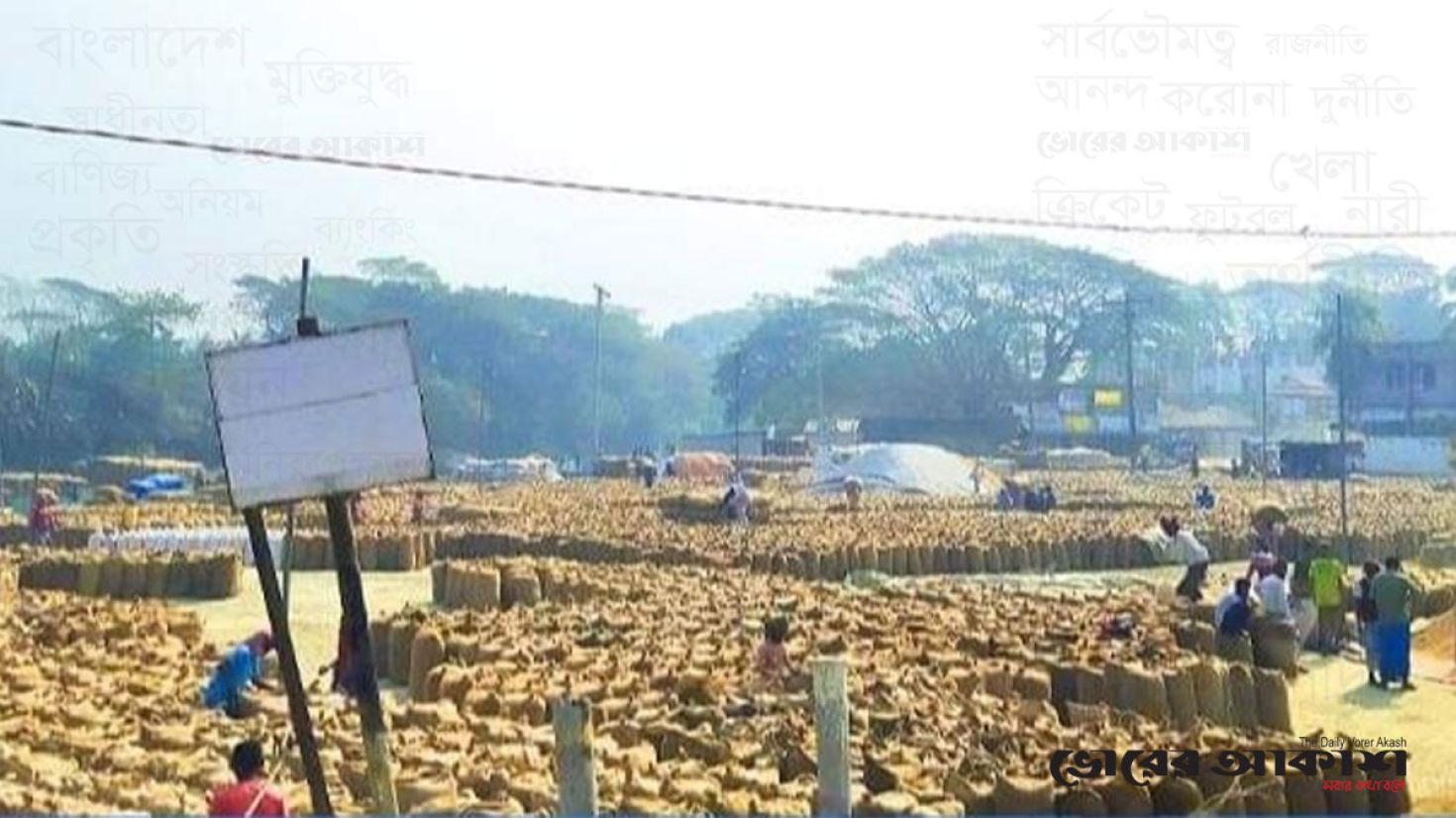 জমে উঠেছে দক্ষিণাঞ্চলের বৃহত্তম কালাইয়া ধান হাট