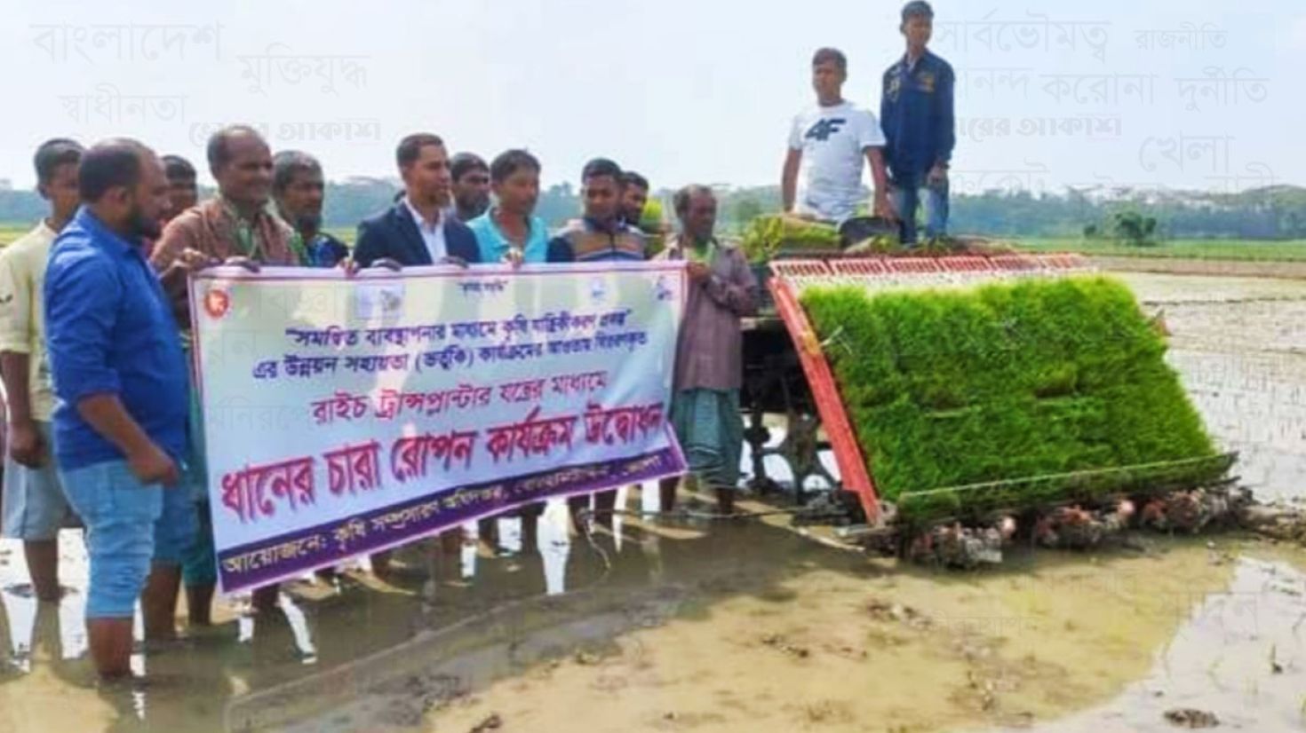 ভোলায় রাইস ট্রান্সপ্লান্টারের মাধ্যমে ধানের চারা রোপণ