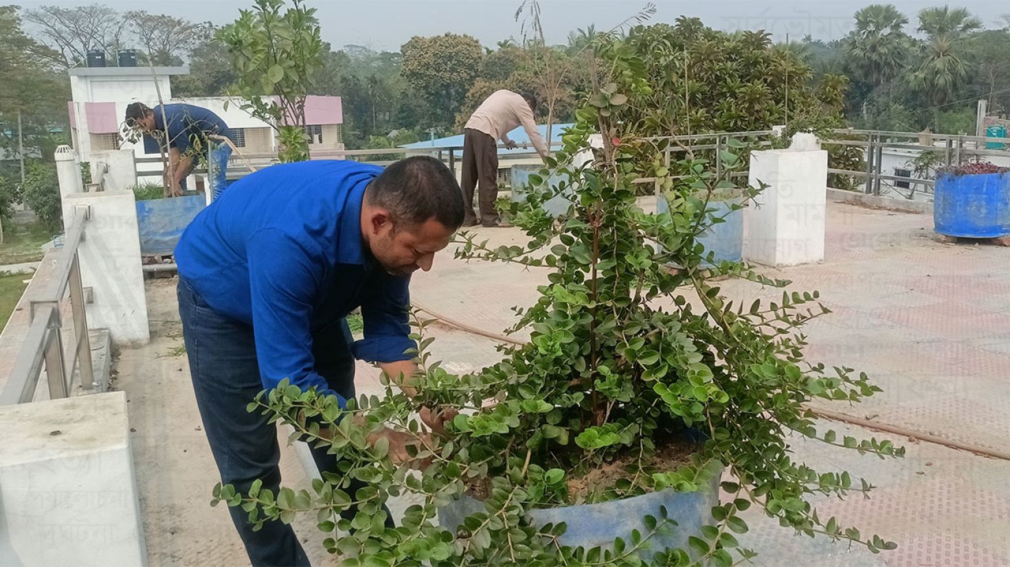 অফিসের ছাদে বাগান করে উদাহরণ সৃষ্টি করেছেন ২ কর্মকর্তা