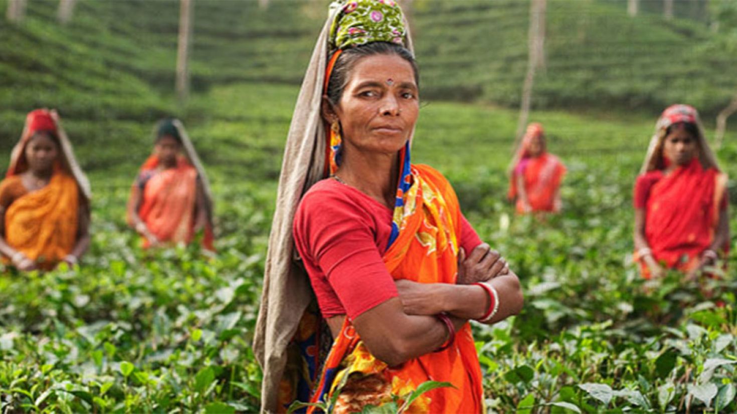 চা শ্রমিকরা মার্চেই বকেয়া পাচ্ছেন