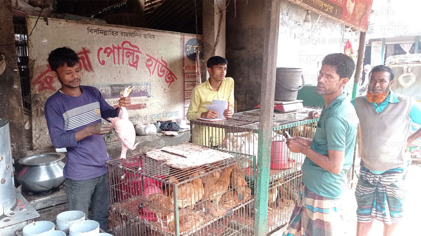 ব্রয়লার মুরগি: একমাসের ব্যবধানে কেজিতে বেড়েছে ৭০ টাকা