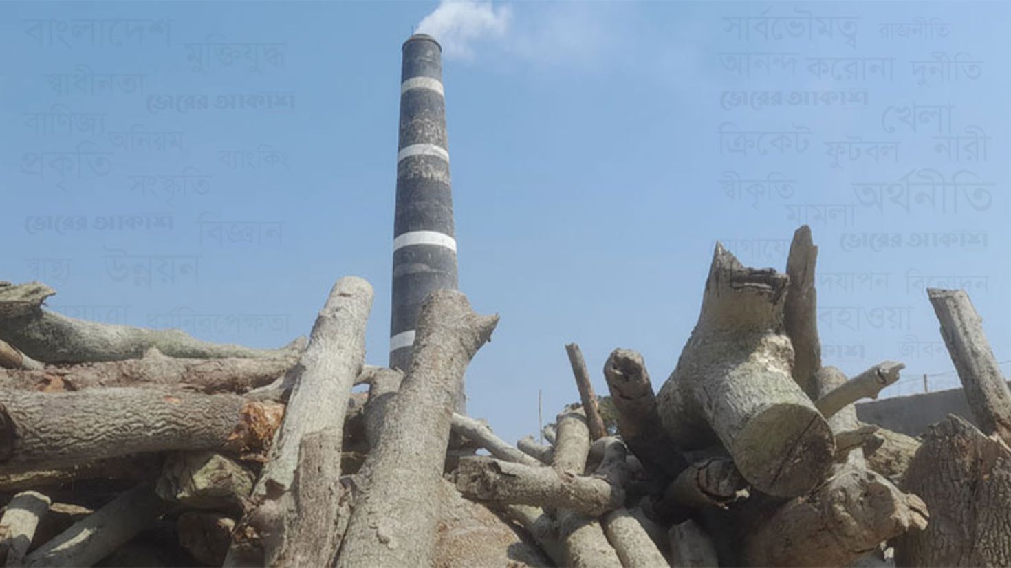 অবৈধ ইটভাটায় পোড়ানো হচ্ছে কাঠ, দূষিত হচ্ছে পরিবেশ