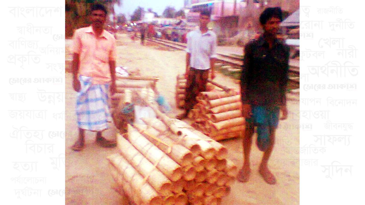 কচ্ছপ, ব্যাঙসহ বিভিন্ন প্রাণী পাচার: ভারসাম্য হারাচ্ছে পরিবেশ 