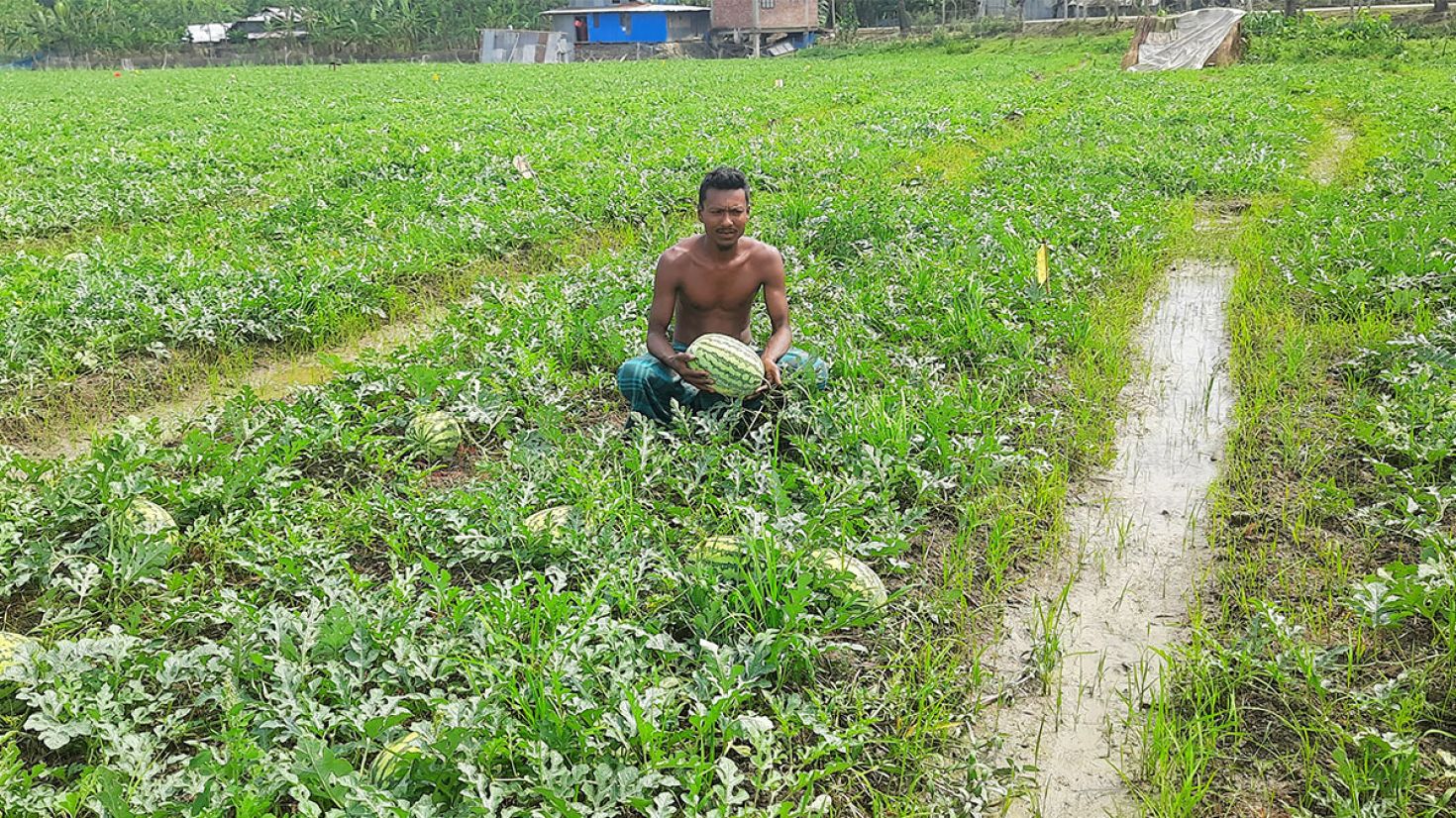 ‘হঠাৎ দেওই নাইম্মা মোগো সাড়ে সর্বনাশ করছে’