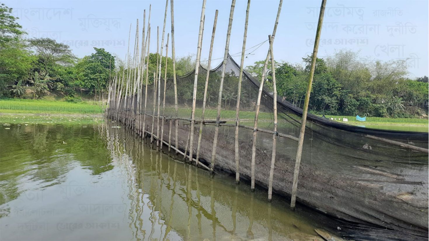 নান্দাইলে ব্রহ্মপুত্র নদে বাঁধ দিয়ে প্রভাবশালীদের মাছ চাষ