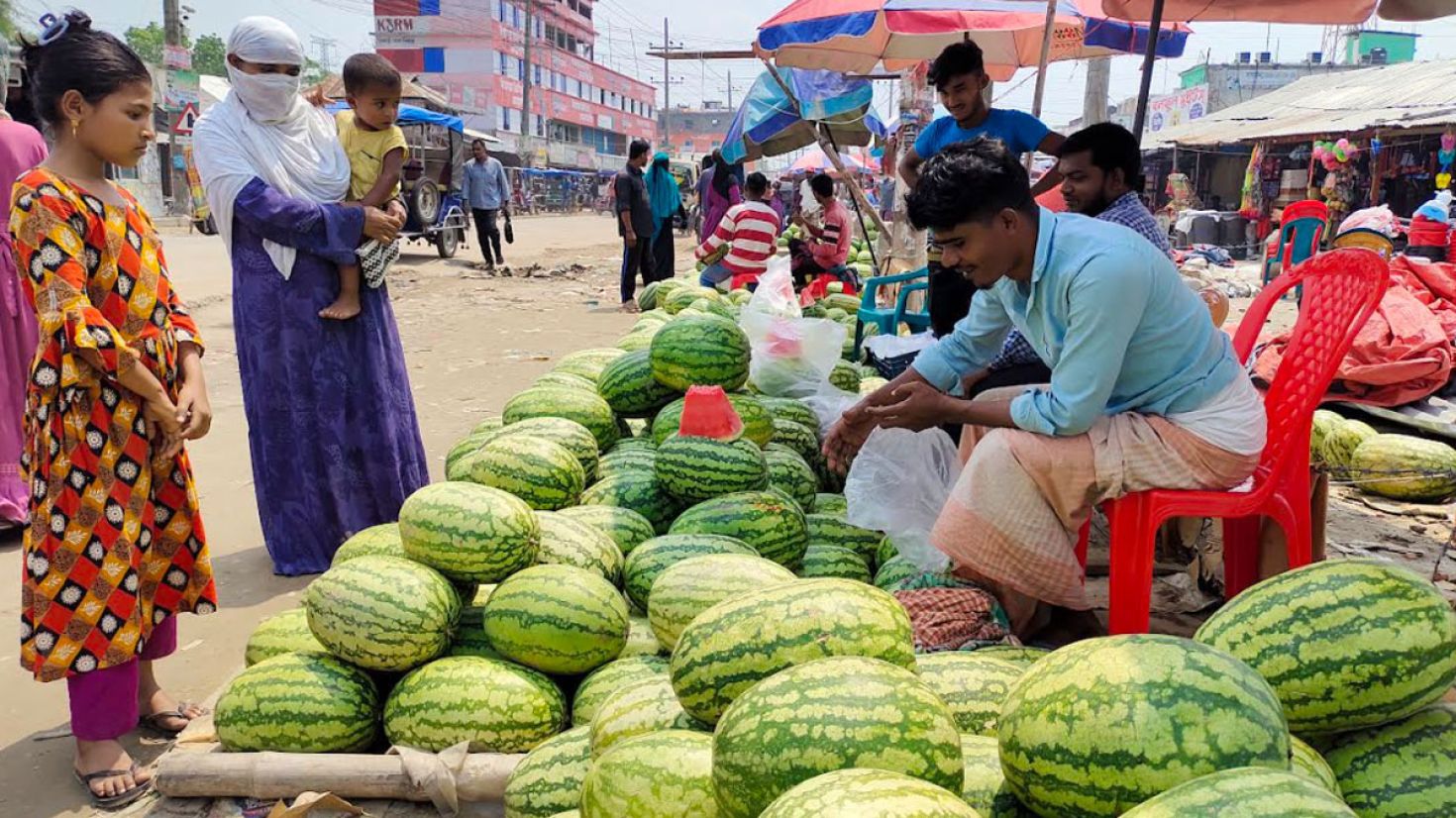 তরমুজ চাষির লাভের গুড় পিঁপড়ায় খায়