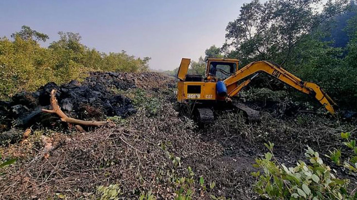 প্যাঁচারদ্বীপে প্যারাবন উজাড় করে রিসোর্ট