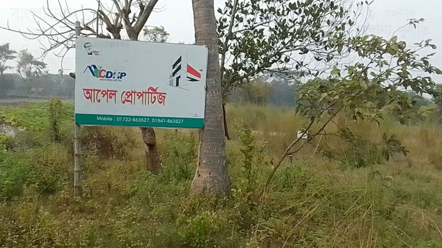 পাচুরামের খাল গিলে খেয়েছে আপেল প্রোপার্টিজ