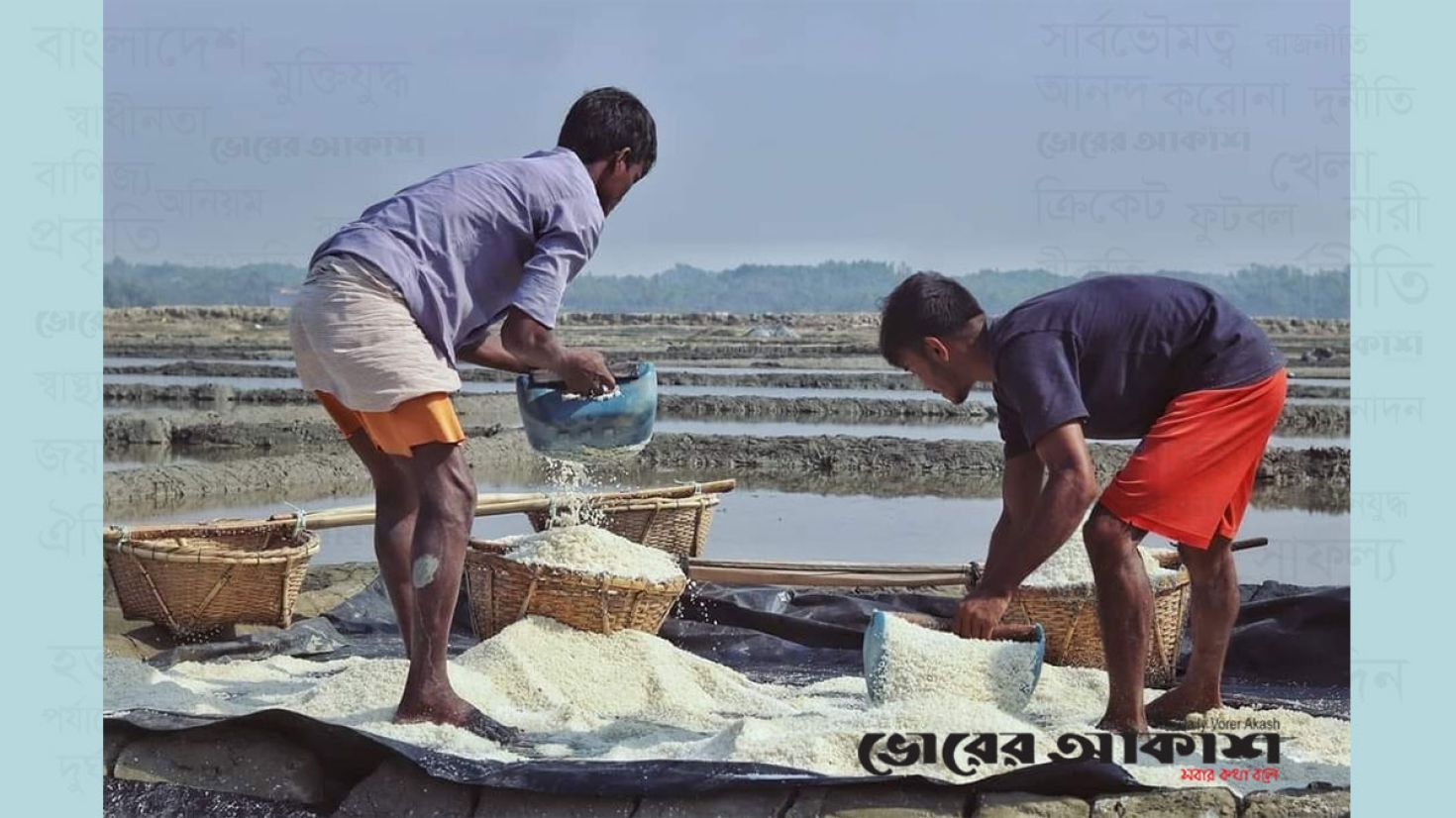 দাবদাহে কক্সবাজারে বাড়ছে লবণ উৎপাদন