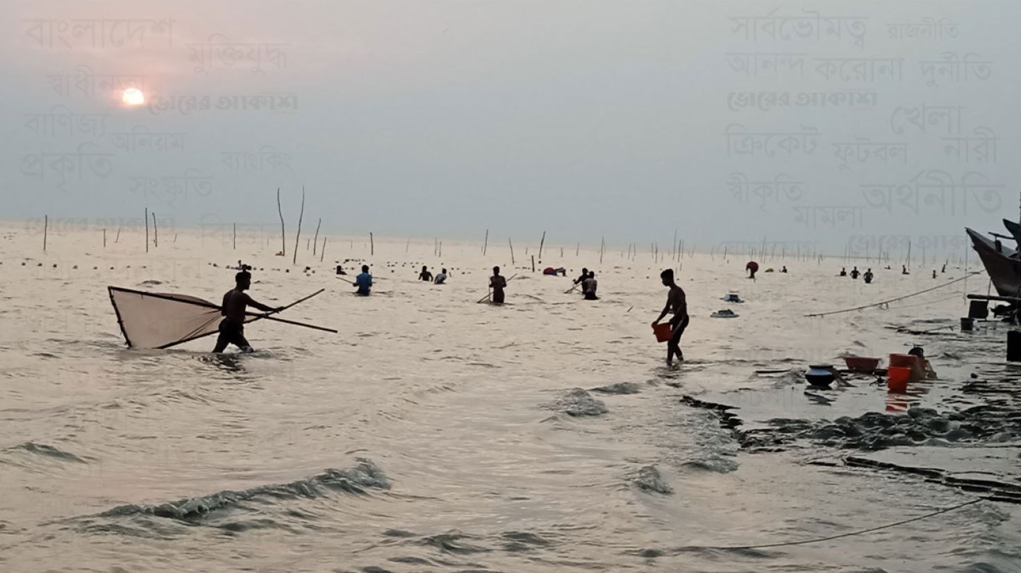 লক্ষীপুর মেঘনা উপকূলে অবাধে চলছে চিংড়ি পোনা নিধন 