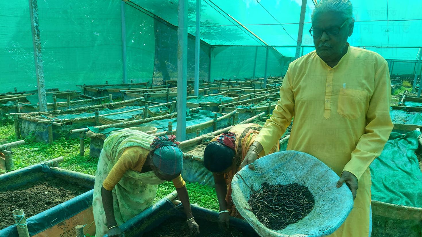 পরিবেশবান্ধব জৈব সারের চাহিদা বাড়ছে, ডোমারে সবুজ শিল্পের বিপ্লব