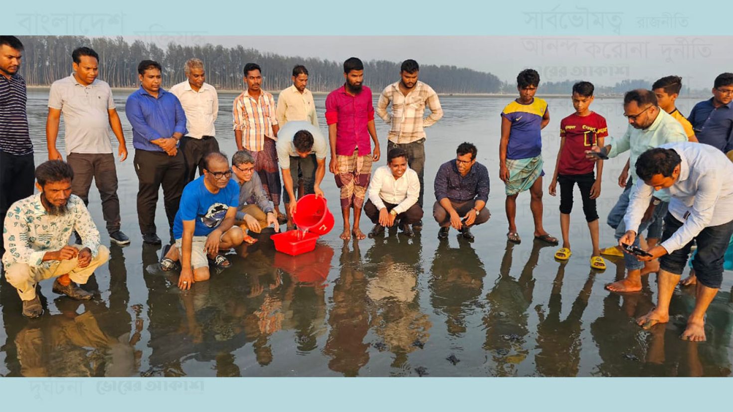 কক্সবাজার সমুদ্রসৈকতে ৪৬টি কচ্ছপের বাচ্চা অবমুক্ত