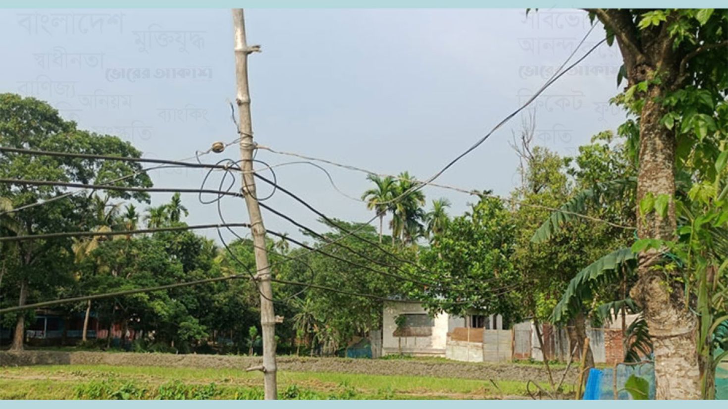 বাঁশের খুঁটিতে বৈদ্যুতিক লাইন, বাড়ছে প্রাণহানির ঝুঁকি