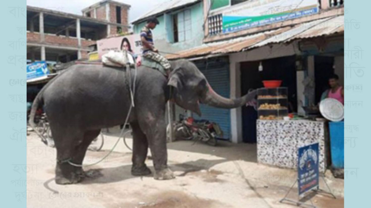 অভিনব কৌশলে হাতি দিয়ে চাঁদা আদায়