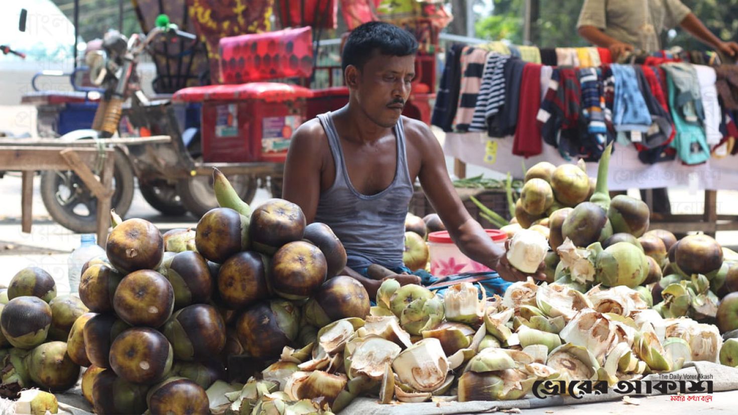 তীব্র গরমে গাইবান্ধায় সারা পড়েছে তালশাঁসের