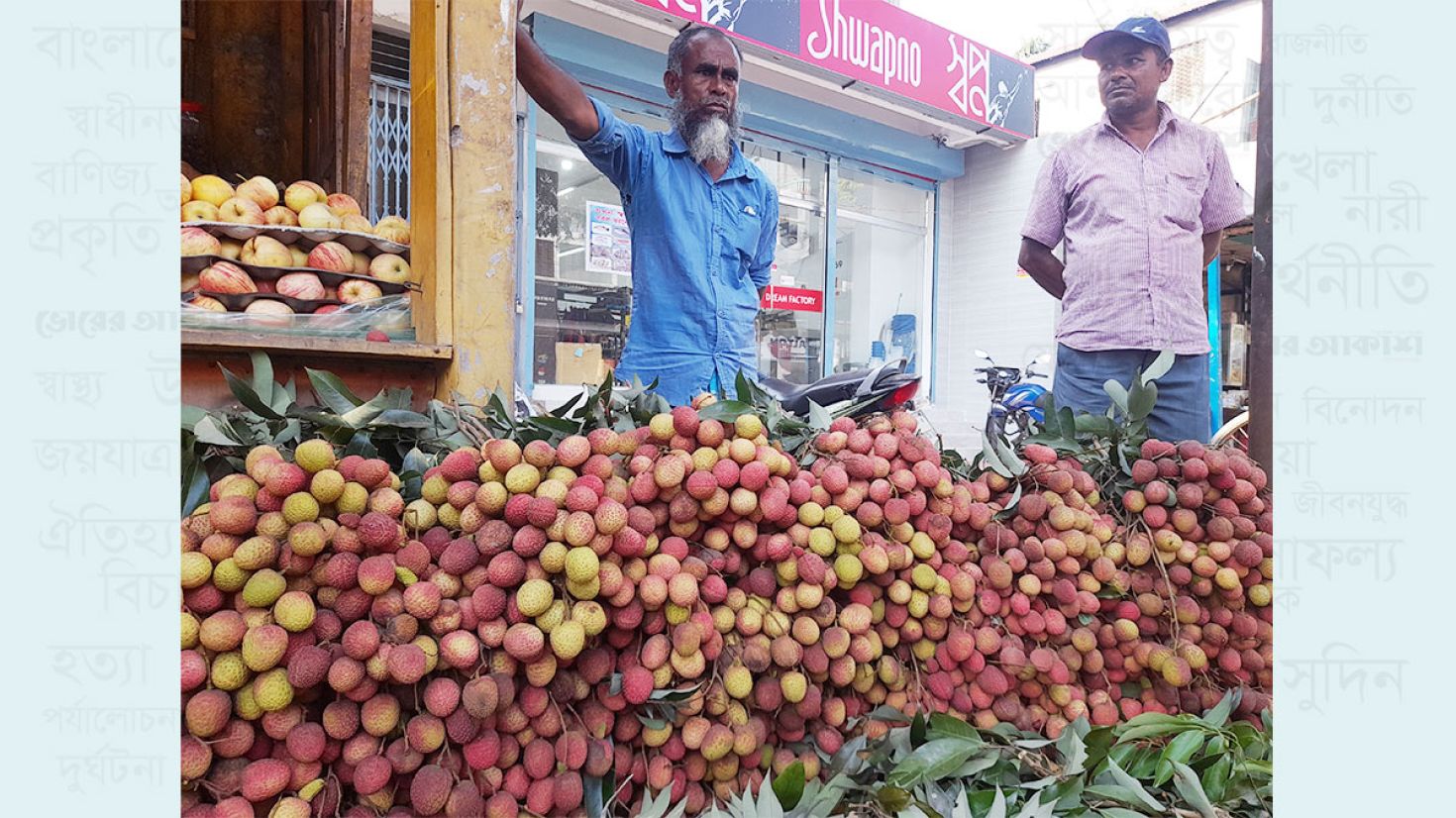 লিচুর ফলন কম, দামে খুশি চাষিরা