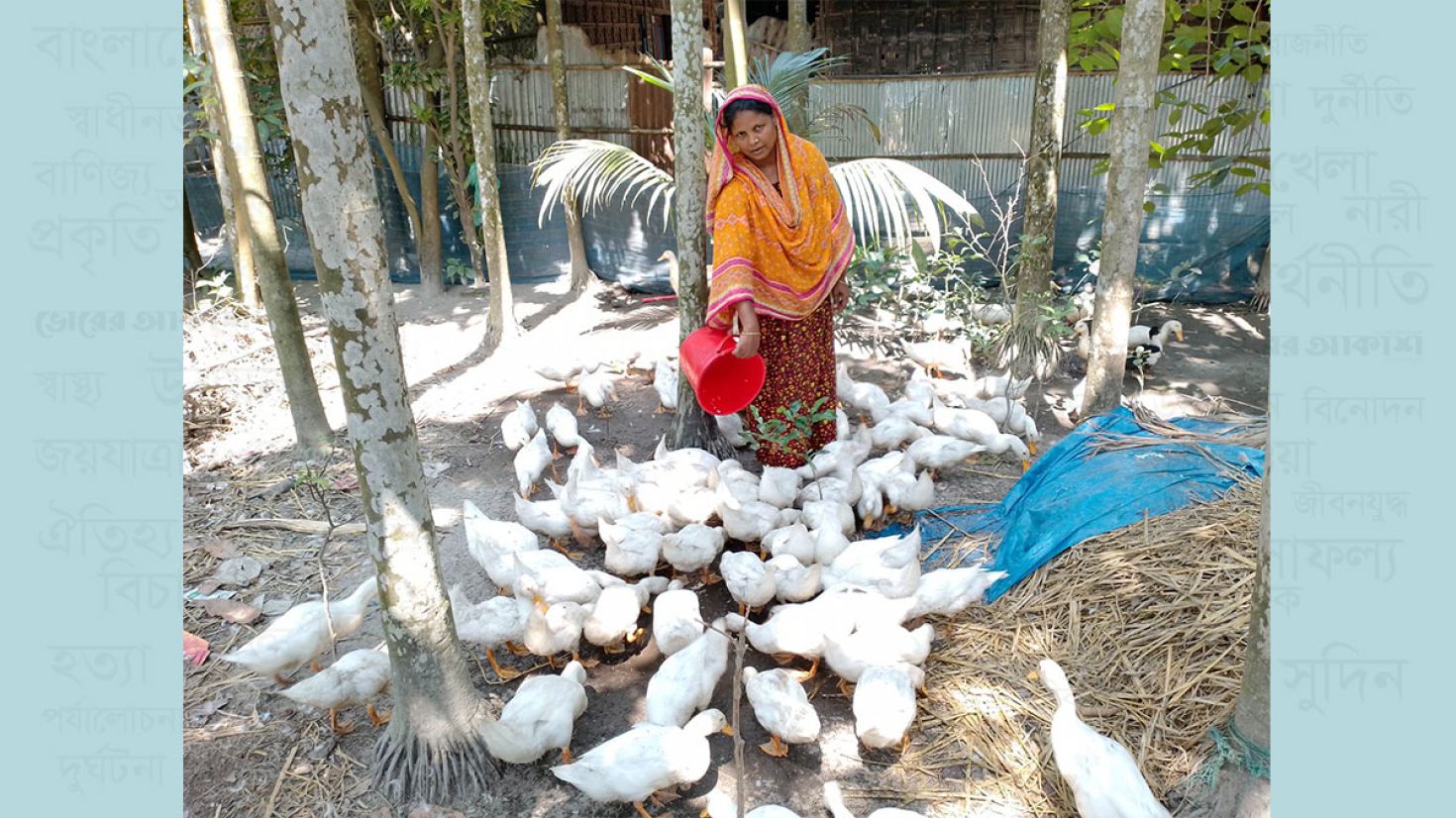 হাঁস পালন করে দারিদ্র্যকে জয় করেছেন মেরিনা