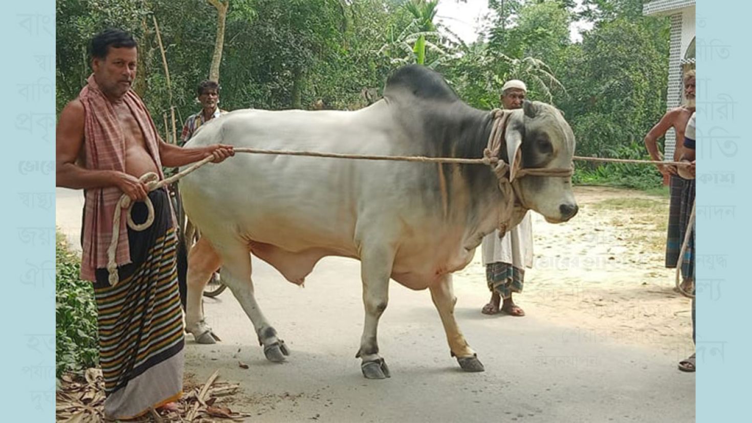 প্রধানমন্ত্রীর প্রতি কৃষক দম্পতির অকৃত্রিম ভালোবাসা