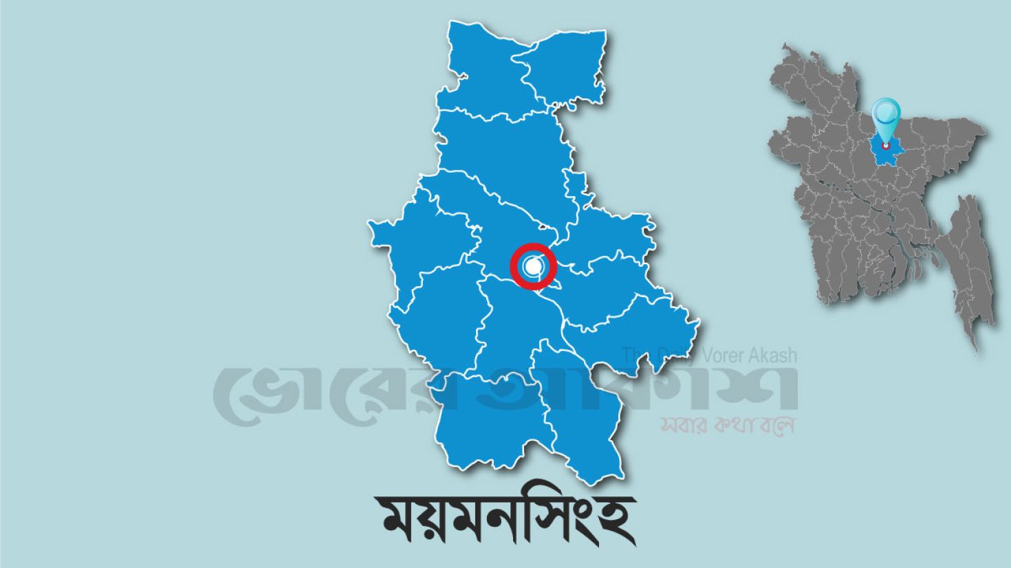 বিদ্যুৎস্পৃষ্টে প্রাণ গেল তরুণের