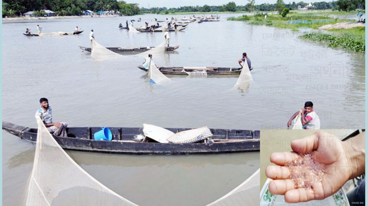 তিন শতাধিক ডিম সংগ্রহকারীর মুখে হাসি ফুটেছে