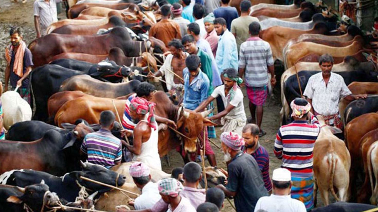 পশুর হাটে জোরদার থাকবে মনিটরিং