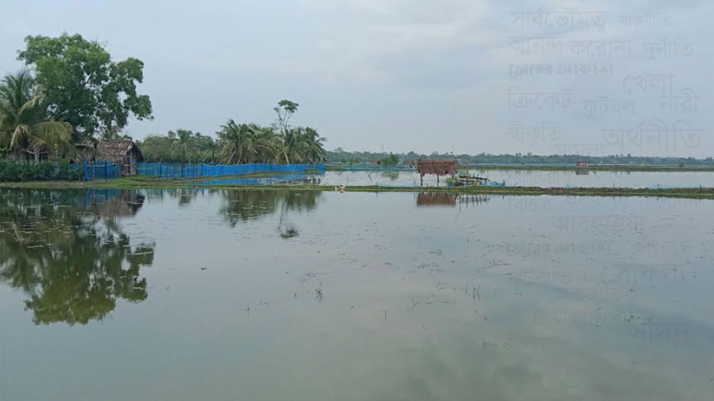 ভারী বর্ষণে নাকাল জনজীবন, চিংড়ি চাষে ক্ষতির আশঙ্কা