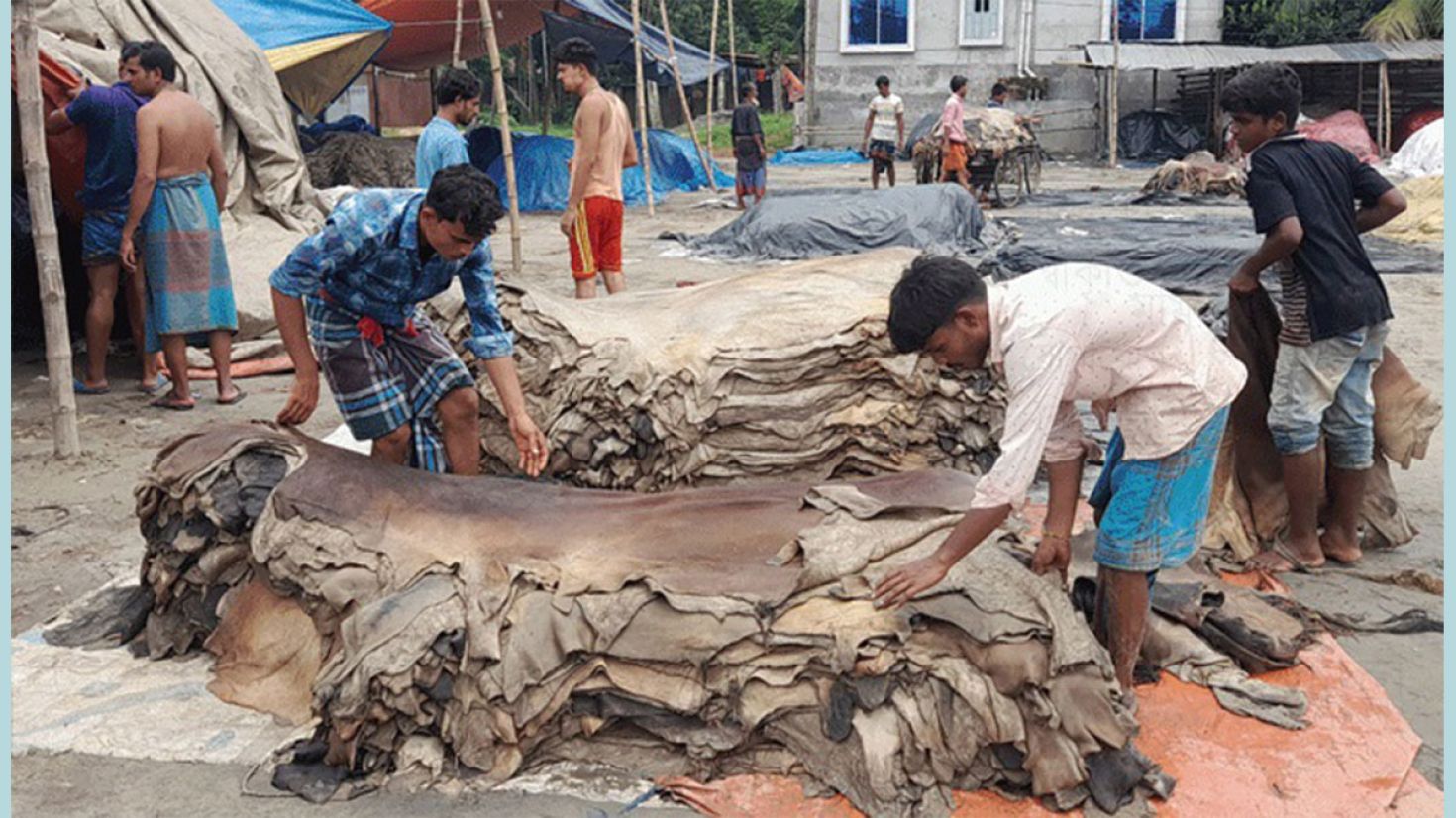 চামড়া পাচার হওয়ার আশঙ্কা, বিপাকে ব্যবসায়ীরা