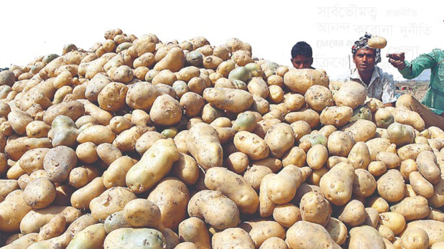 মজুতদারদের কারসাজিতে বাড়ছে আলুর দাম