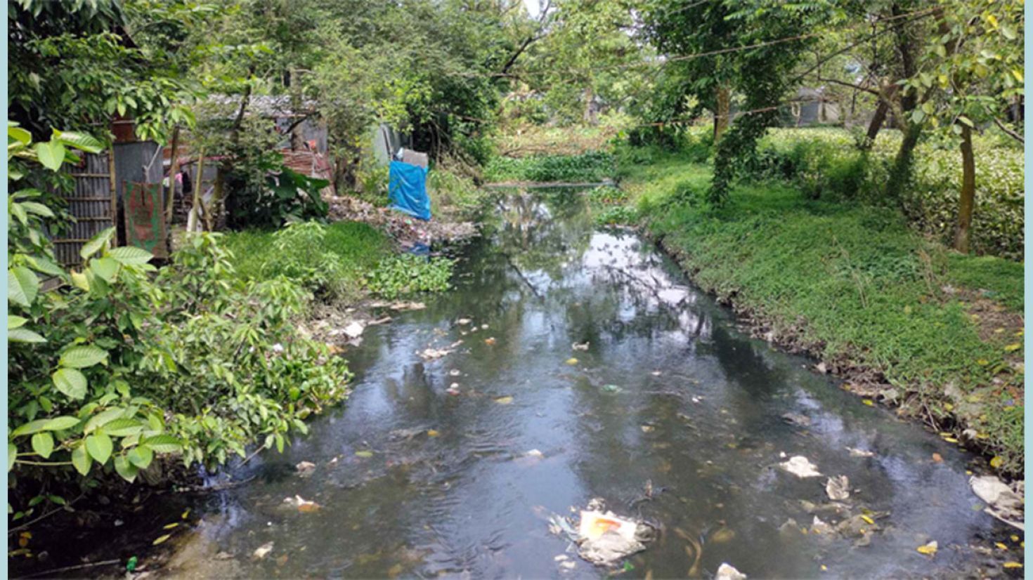 আবর্জনার ভাগাড় শ্যামাসুন্দরী খাল, ডেঙ্গু আতঙ্কে বাসিন্দারা