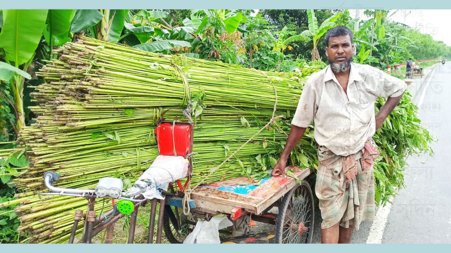 পাট কাটা শুরু, জাগ দেয়া নিয়ে বিপাকে চাষিরা