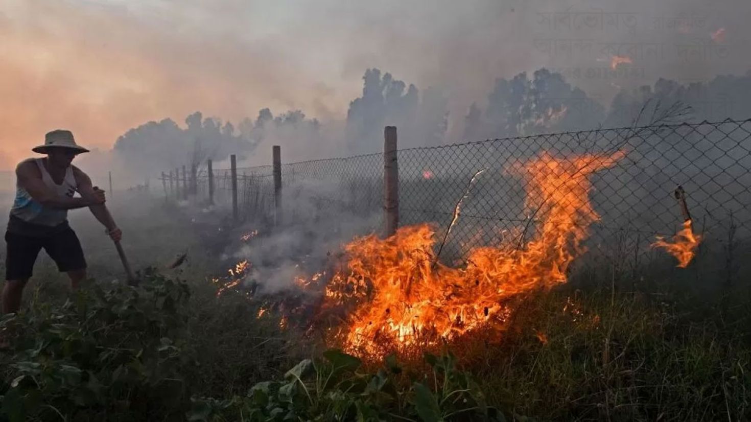 আলজেরিয়াজুড়ে ভয়াবহ দাবানল, নিহত ৩৪