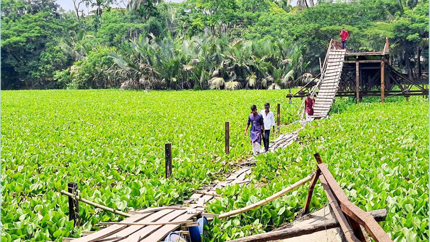 বরগুনায় ১৮৯ সেতু ঝুঁকিপূর্ণ, ভোগান্তিতে লাখো মানুষ