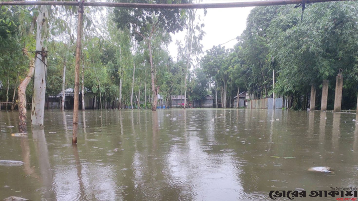 টানা বৃষ্টিপাত তলিয়ে গেছে আমন ক্ষেত, বিপাকে মানুষ