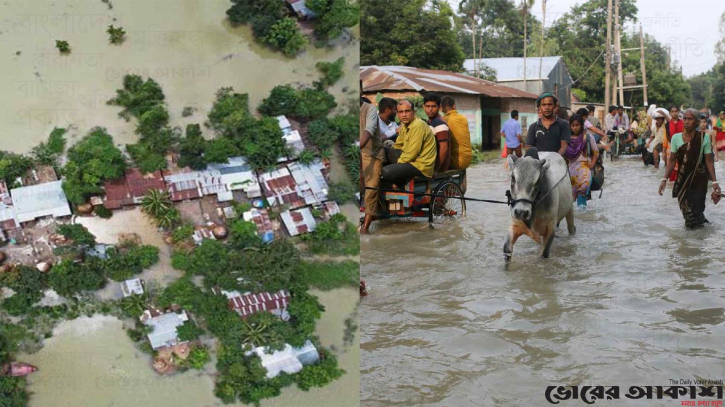 চট্টগ্রামে বন্যা
ক্ষতিগ্রস্ত ১ লাখ ১৫ হাজার কৃষক, ক্ষতি ১৮৪ কোটি টাকা