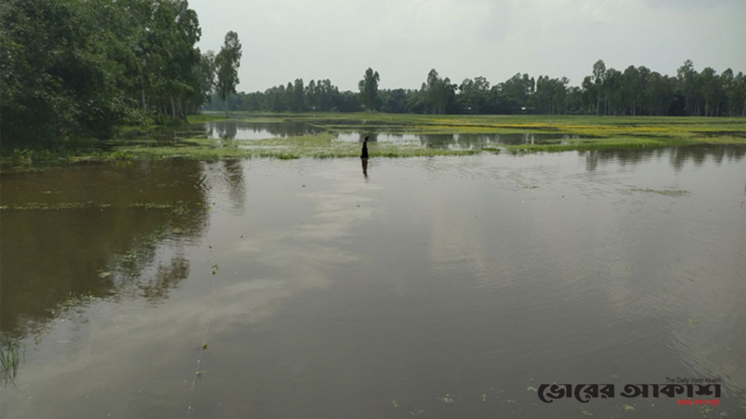 নালা বন্ধ করে বাড়ি নির্মাণ, দুর্ভোগে কৃষক