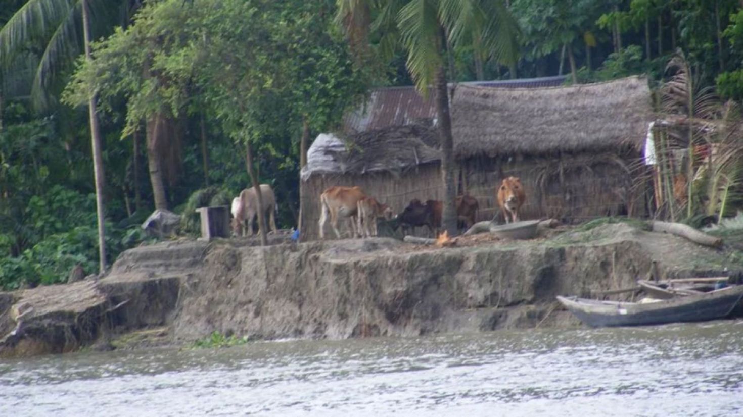 মেঘনার ভাঙনে ১০ দিনে ভেঙেছে ২০ বসতঘর