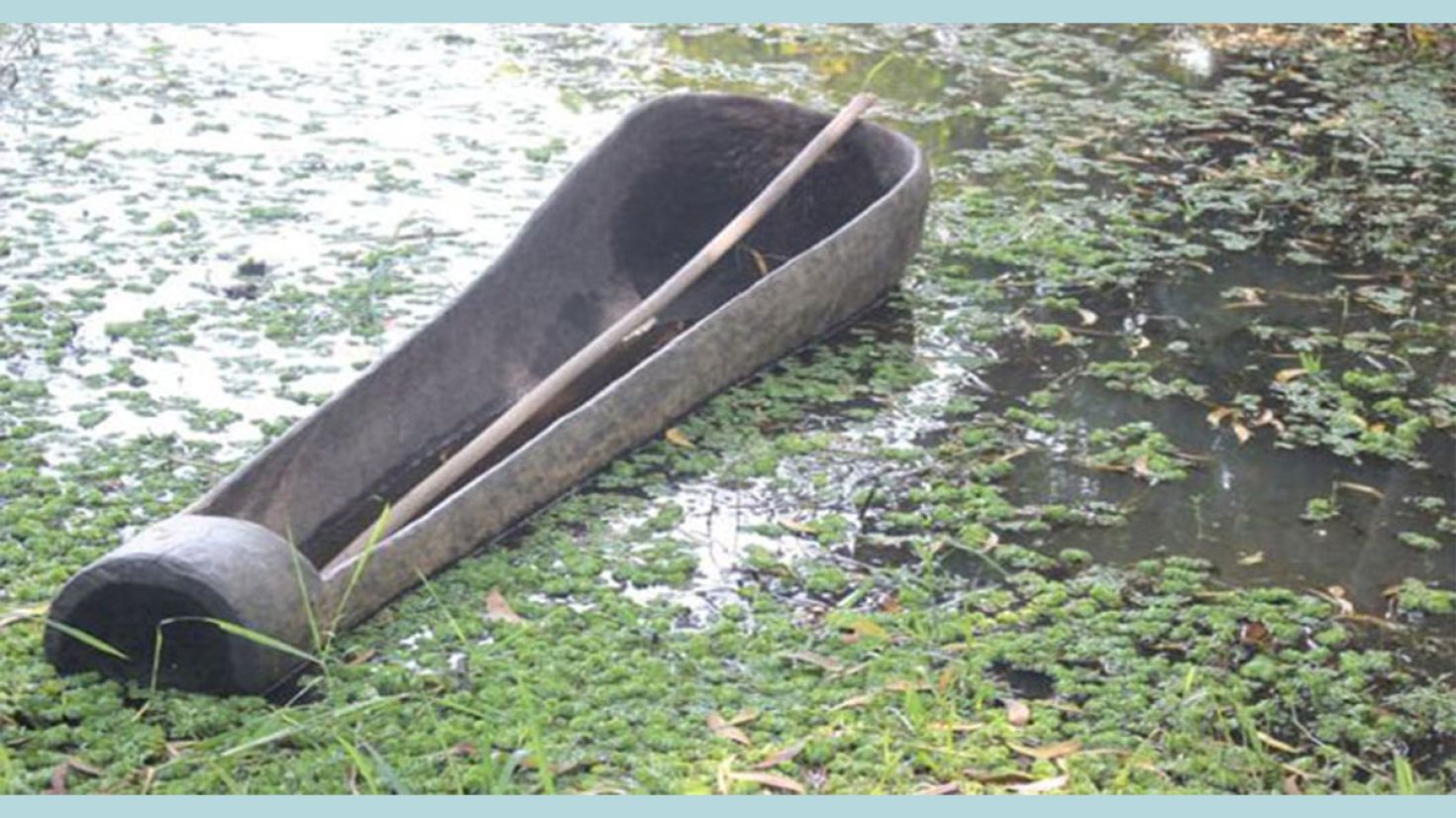 হারিয়ে যাচ্ছে ঐতিহ্যবাহী তালের ডোঙা