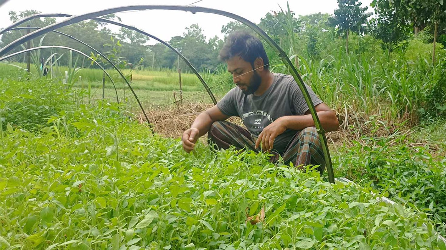 শীতকালীন সবজির আগাম চাষে ব্যস্ত চাষিরা