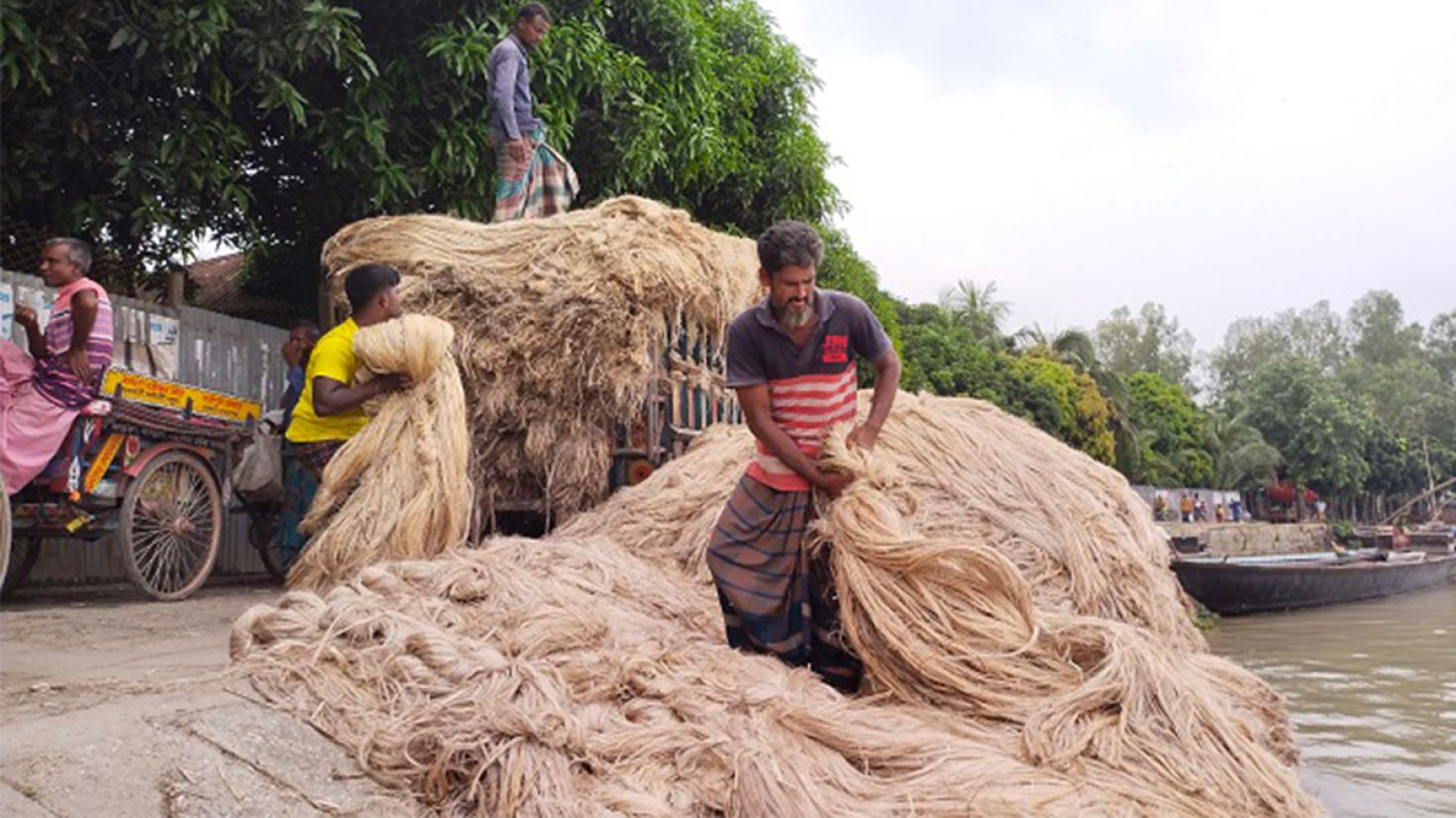 পাট চাষে আগ্রহ হারাচ্ছেন প্রান্তিক চাষিরা