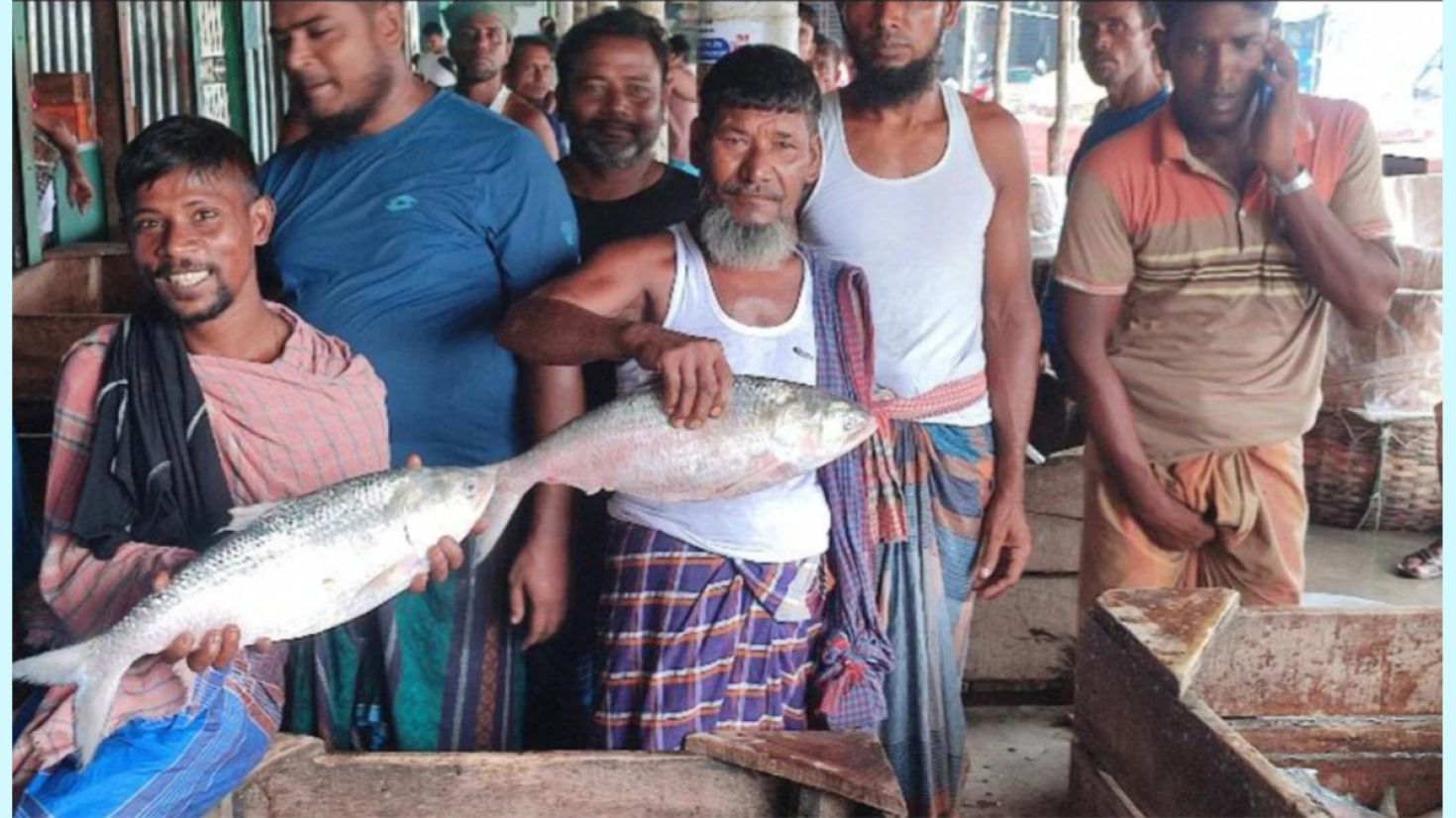 ঝাঁকে ঝাঁকে ধরা পড়ছে ইলিশ, জেলেদের মুখে হাসি